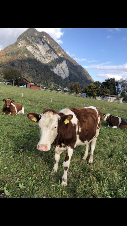 Studio The Cow Kandersteg Exterior foto